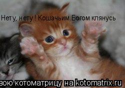 Нету, нету ! Кошачьим Богом клянусь... Котоматрица: Нету, нету ! Кошачьим Богом клянусь