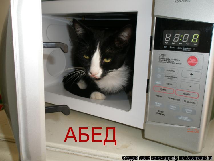 АБЕД... Котоматрица: АБЕД