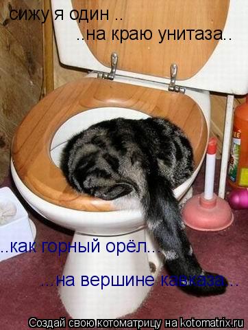 сижу я один .. ..на краю унитаза.. ..как горный орёл... ...на вершине кавказа...... Котоматрица: сижу я один .. ..на краю унитаза.. ..как горный орёл... ...на вершине кавказа...