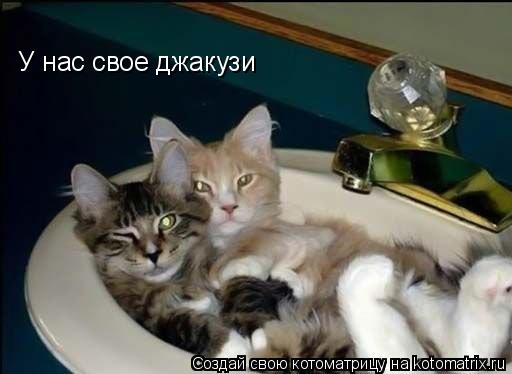 У нас свое джакузи... Котоматрица: У нас свое джакузи