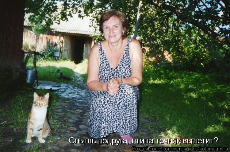 Слышь подруга, птица точняк вылетит?... Котоматрица: Слышь подруга, птица точняк вылетит?
