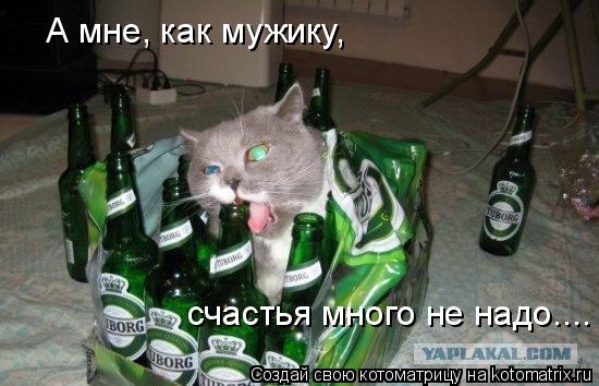 А мне, как мужику, счастья много не надо....... Котоматрица: А мне, как мужику, счастья много не надо....