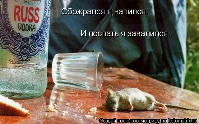 Обожрался я,напился! И поспать я завалился...... Котоматрица: Обожрался я,напился! И поспать я завалился...