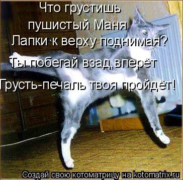 Что грустишь пушистый Маня Лапки к верху поднимая? Ты побегай взад,вперёт Грусть-печаль твоя пройдёт... Котоматрица: Что грустишь пушистый Маня Лапки к верху поднимая? Ты побегай взад,вперёт Грусть-печаль твоя пройдёт!