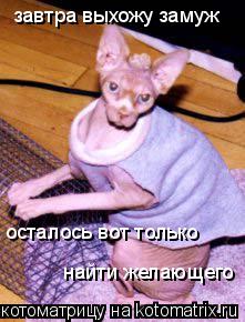 завтра выхожу замуж осталось вот только найти желающего... Котоматрица: завтра выхожу замуж осталось вот только найти желающего