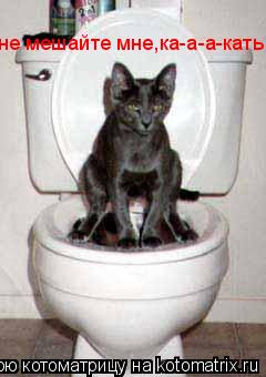 не мешайте мне,ка-а-а-кать!... Котоматрица: не мешайте мне,ка-а-а-кать!