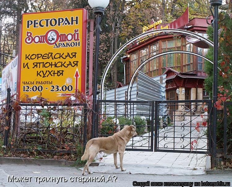 Может тряхнуть стариной,А?... Котоматрица: Может тряхнуть стариной,А?
