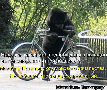 Михайле Потапычу от циркового начальства. Не забывай, что ты дрессированный. Надо же, какой мне подар... Котоматрица: Михайле Потапычу от циркового начальства. Не забывай, что ты дрессированный. Надо же, какой мне подарок дали с выходом на пенсию, с памятной