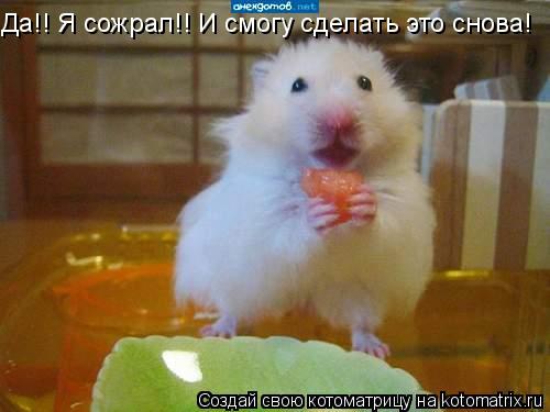 Да!! Я сожрал!! И смогу сделать это снова!... Котоматрица: Да!! Я сожрал!! И смогу сделать это снова!