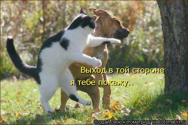 Выход в той стороне я тебе покажу..... Котоматрица: Выход в той стороне я тебе покажу..