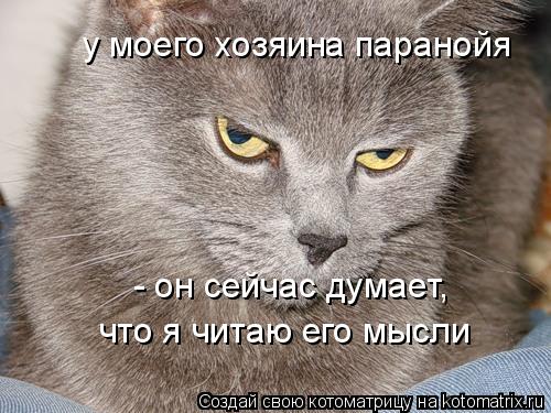 у моего хозяина паранойя - он сейчас думает, что я читаю его мысли... Котоматрица: у моего хозяина паранойя - он сейчас думает, что я читаю его мысли