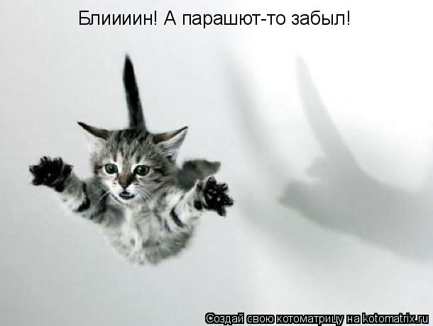 Блиииин! А парашют-то забыл!... Котоматрица: Блиииин! А парашют-то забыл!