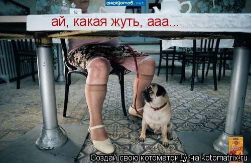 ай, какая жуть, ааа...... Котоматрица: ай, какая жуть, ааа...