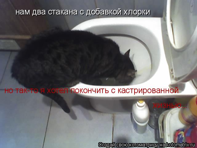 нам два стакана с добавкой хлорки но так-то я хотел покончить с кастрированной жизнью...... Котоматрица: нам два стакана с добавкой хлорки но так-то я хотел покончить с кастрированной жизнью...