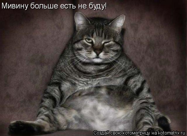 Мивину больше есть не буду!... Котоматрица: Мивину больше есть не буду!