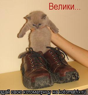 Велики...... Котоматрица: Велики...