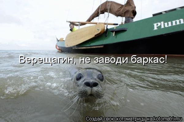 Верещагин, не заводи баркас!... Котоматрица: Верещагин, не заводи баркас!