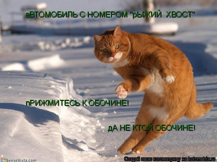 аВТОМОБИЛЬ С НОМЕРОМ "рЫЖИЙ ХВОСТ" пРИЖМИТЕСЬ К ОБОЧИНЕ! дА НЕ КТОЙ ОБОЧИНЕ!... Котоматрица: аВТОМОБИЛЬ С НОМЕРОМ "рЫЖИЙ ХВОСТ" пРИЖМИТЕСЬ К ОБОЧИНЕ! дА НЕ КТОЙ ОБОЧИНЕ!