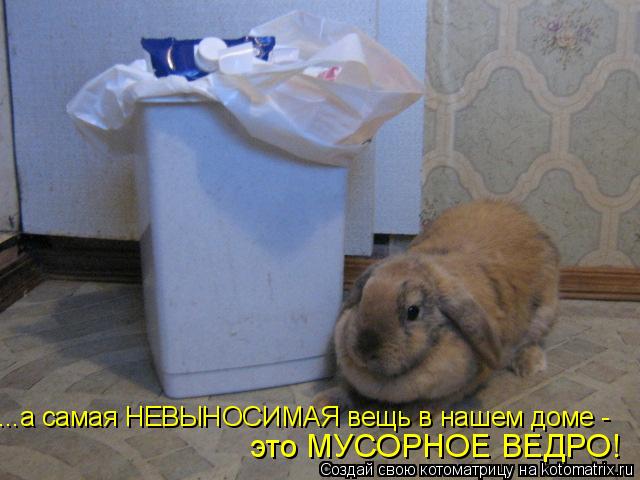 ...а самая НЕВЫНОСИМАЯ вещь в нашем доме - это МУСОРНОЕ ВЕДРО!... Котоматрица: ...а самая НЕВЫНОСИМАЯ вещь в нашем доме - это МУСОРНОЕ ВЕДРО!