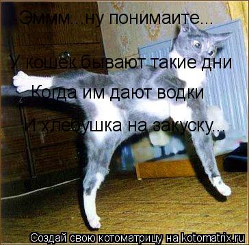 Эммм...ну понимаите... У кошек бывают такие дни Когда им дают водки И хлебушка на закуску...... Котоматрица: Эммм...ну понимаите... У кошек бывают такие дни Когда им дают водки И хлебушка на закуску...