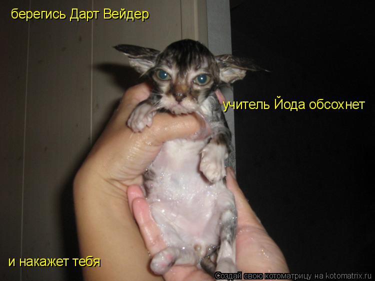 берегись Дарт Вейдер учитель Йода обсохнет и накажет тебя... Котоматрица: берегись Дарт Вейдер учитель Йода обсохнет и накажет тебя