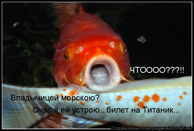 ЧТОООО???!! Владычицей морскою? Счас я ей устрою...билет на Титаник...... Котоматрица: ЧТОООО???!! Владычицей морскою? Счас я ей устрою...билет на Титаник...