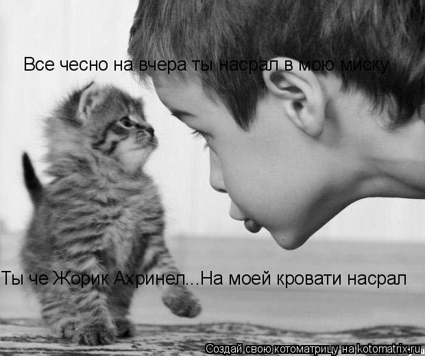 Ты че Жорик Ахринел...На моей кровати насрал Все чесно на вчера ты насрал в мою миску... Котоматрица: Ты че Жорик Ахринел...На моей кровати насрал Все чесно на вчера ты насрал в мою миску