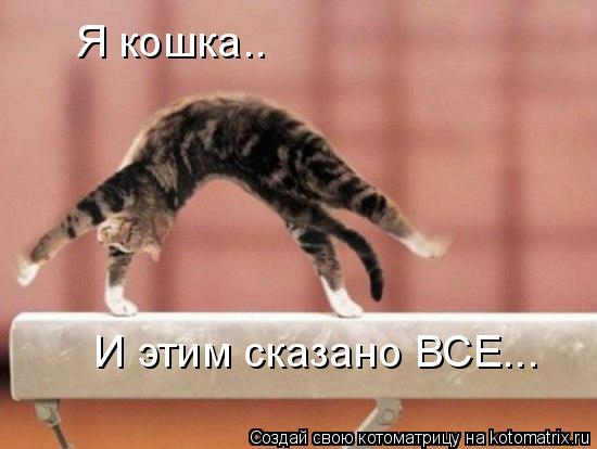 Я кошка.. И этим сказано ВСЕ...... Котоматрица: Я кошка.. И этим сказано ВСЕ...