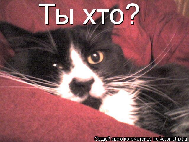 Ты хто?... Котоматрица: Ты хто?
