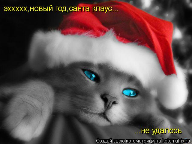эххххх,новый год,санта клаус... ...не удалось... Котоматрица: эххххх,новый год,санта клаус... ...не удалось