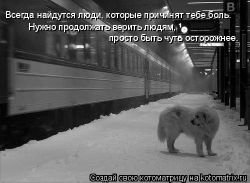 Всегда найдутся люди, которые причинят тебе боль. Нужно продолжать верить людям, просто быть чуть ос... Котоматрица: Всегда найдутся люди, которые причинят тебе боль. Нужно продолжать верить людям, просто быть чуть осторожнее.
