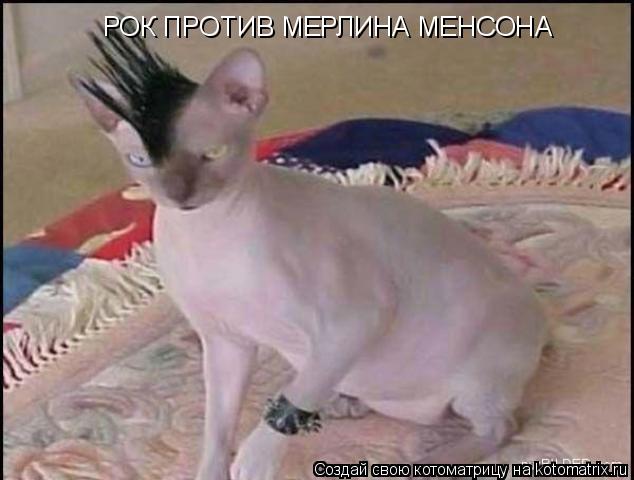 РОК ПРОТИВ МЕРЛИНА МЕНСОНА... Котоматрица: РОК ПРОТИВ МЕРЛИНА МЕНСОНА