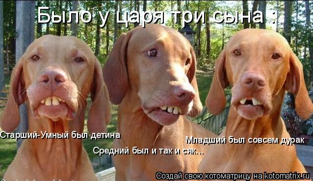 Старший-Умный был детина Средний был и так и сяк... Младший был совсем дурак Было у царя три сына :... Котоматрица: Старший-Умный был детина Средний был и так и сяк... Младший был совсем дурак Было у царя три сына :