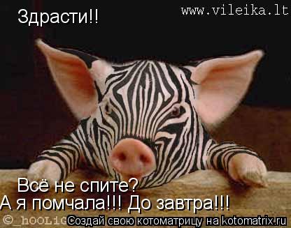 Здрасти!! Всё не спите? А я помчала!!! До завтра!!!... Котоматрица: Здрасти!! Всё не спите? А я помчала!!! До завтра!!!