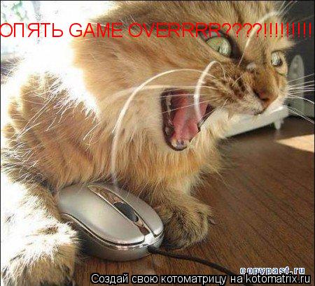 ОПЯТЬ GAME OVERRRR????!!!!!!!!!!!!... Котоматрица: ОПЯТЬ GAME OVERRRR????!!!!!!!!!!!!