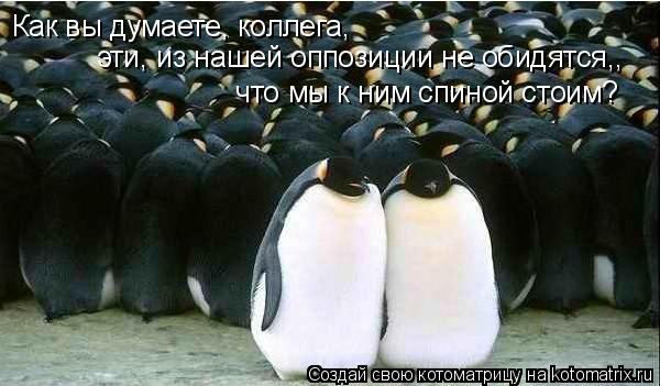 Как вы думаете, коллега, что мы к ним спиной стоим? эти, из нашей оппозиции не обидятся,,... Котоматрица: Как вы думаете, коллега, что мы к ним спиной стоим? эти, из нашей оппозиции не обидятся,,