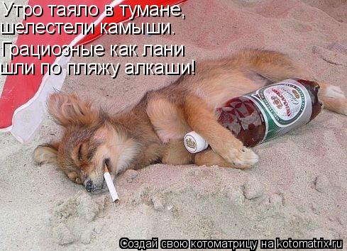 Утро таяло в тумане, шелестели камыши. Грациозные как лани шли по пляжу алкаши!... Котоматрица: Утро таяло в тумане, шелестели камыши. Грациозные как лани шли по пляжу алкаши!