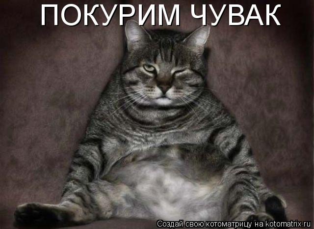 ПОКУРИМ ЧУВАК... Котоматрица: ПОКУРИМ ЧУВАК