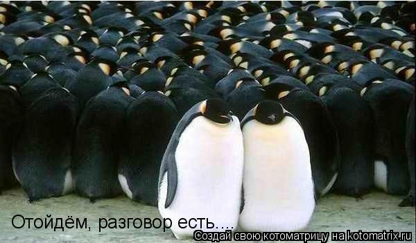 Отойдём, разговор есть....... Котоматрица: Отойдём, разговор есть....