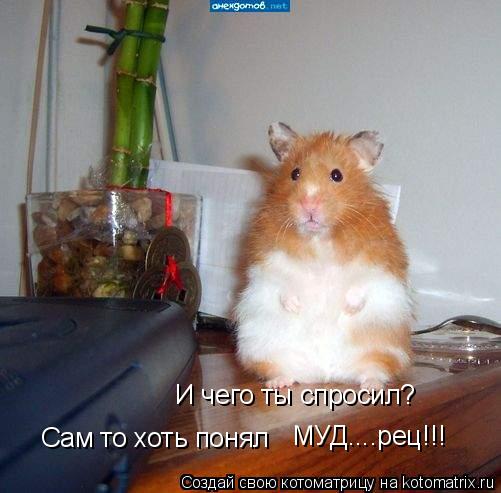 И чего ты спросил? Сам то хоть понял МУД....рец!!!... Котоматрица: И чего ты спросил? Сам то хоть понял МУД....рец!!!