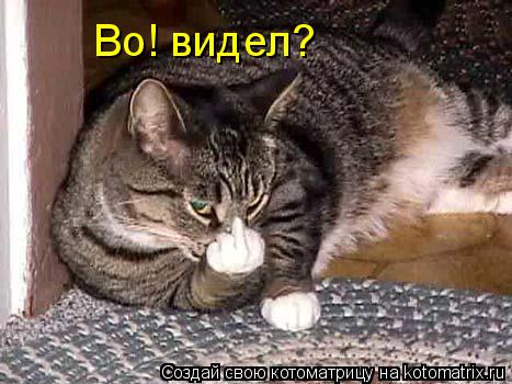 Во! видел?... Котоматрица: Во! видел?