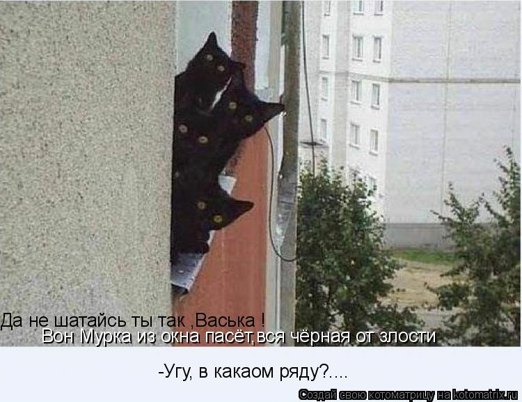 Да не шатайсь ты так ,Васька ! Вон Мурка из окна пасёт,вся чёрная от злости -Угу, в какаом ряду?....... Котоматрица: Да не шатайсь ты так ,Васька ! Вон Мурка из окна пасёт,вся чёрная от злости -Угу, в какаом ряду?....