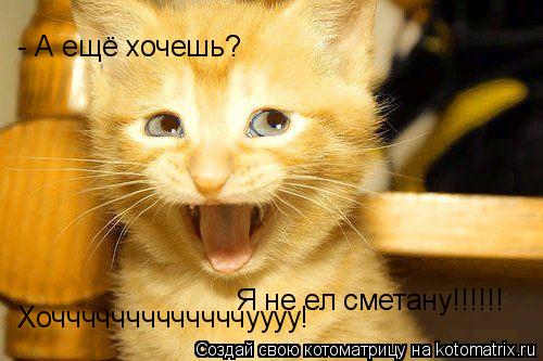 Я не ел сметану!!!!!! - А ещё хочешь? Хочччччччччччччуууу!... Котоматрица: Я не ел сметану!!!!!! - А ещё хочешь? Хочччччччччччччуууу!