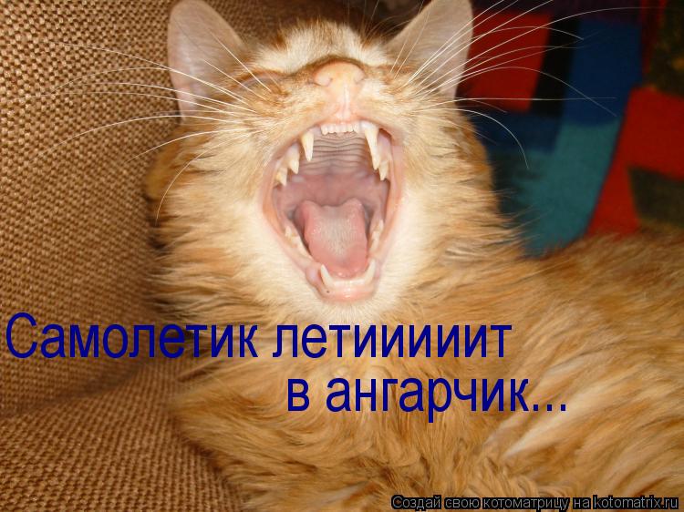 Самолетик летииииит в ангарчик...... Котоматрица: Самолетик летииииит в ангарчик...