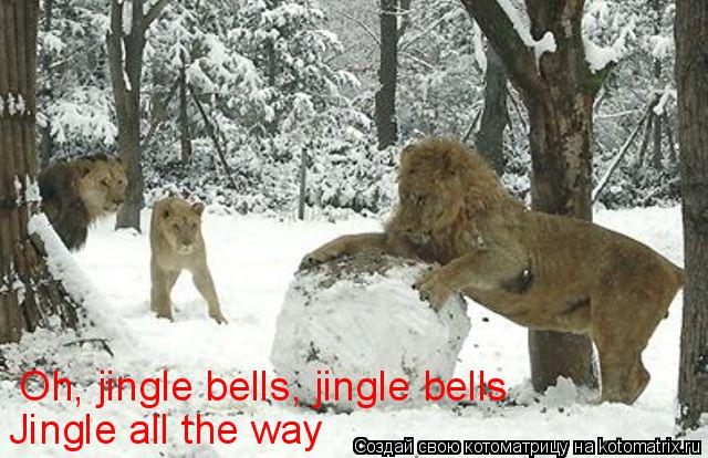 Oh, jingle bells, jingle bells Jingle all the way... Котоматрица: Oh, jingle bells, jingle bells Jingle all the way