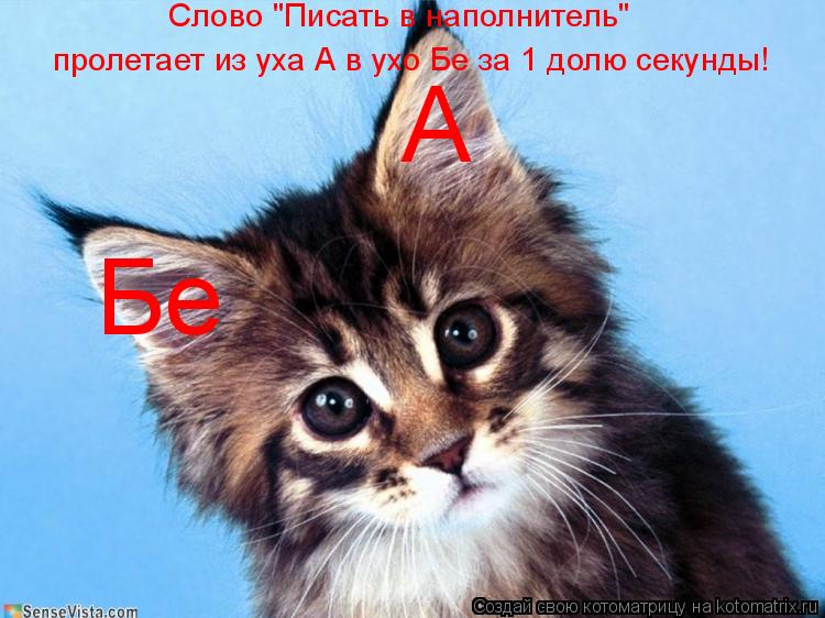 А Бе Слово "Писать в наполнитель" пролетает из уха А в ухо Бе за 1 долю секунды!... Котоматрица: А Бе Слово "Писать в наполнитель" пролетает из уха А в ухо Бе за 1 долю секунды!