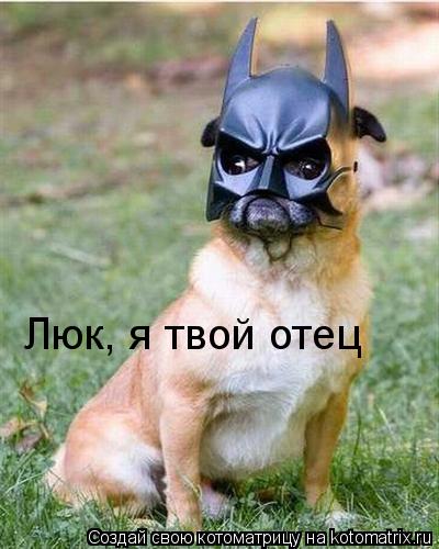 Люк, я твой отец... Котоматрица: Люк, я твой отец