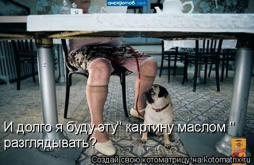 И долго я буду эту" картину маслом " разглядывать?... Котоматрица: И долго я буду эту" картину маслом " разглядывать?