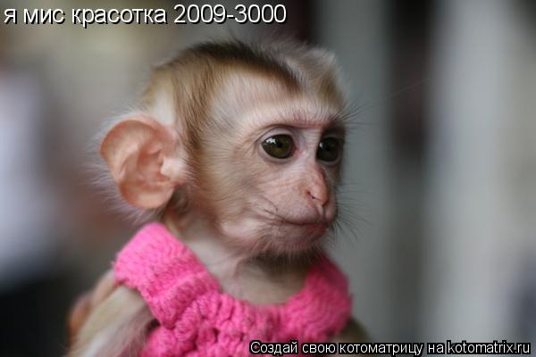 я мис красотка 2009-3000... Котоматрица: я мис красотка 2009-3000