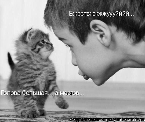 Бжрствжжжжуууйййй.... Голова большая... а мозгов...... Котоматрица: Бжрствжжжжуууйййй.... Голова большая... а мозгов...
